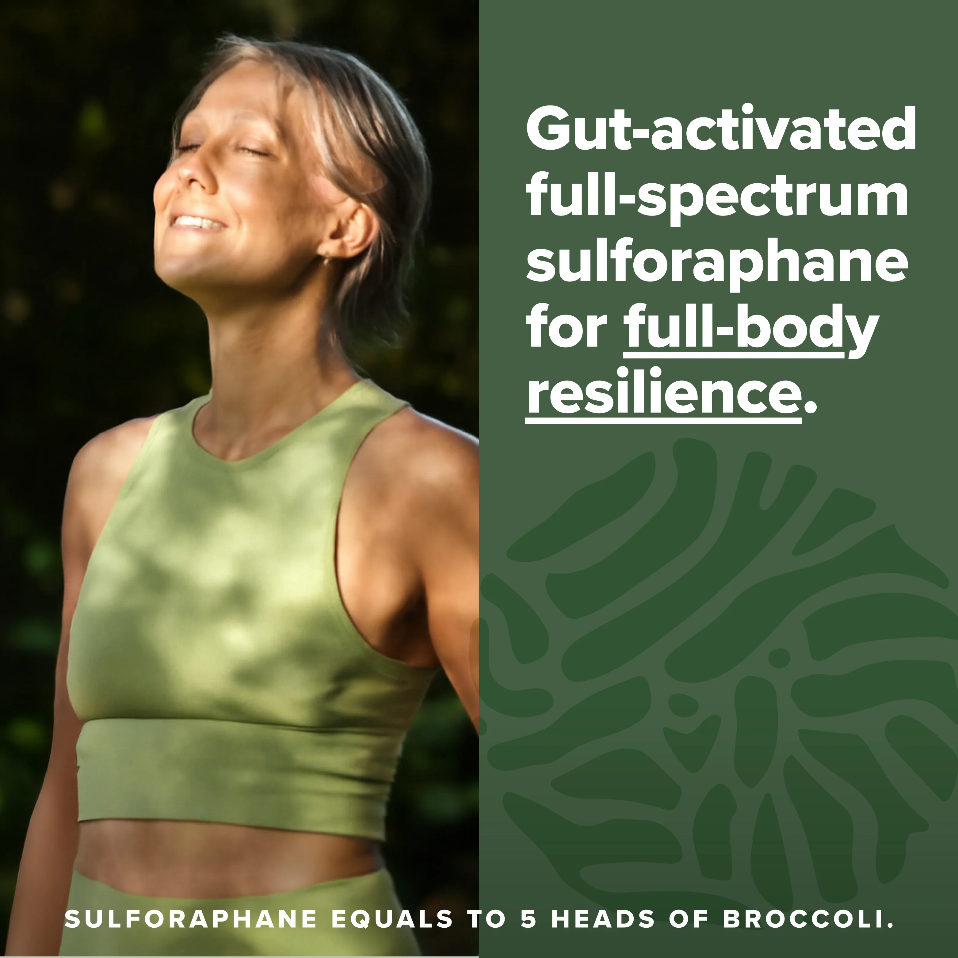 COMPLEMENT® Sulfora - Image 4